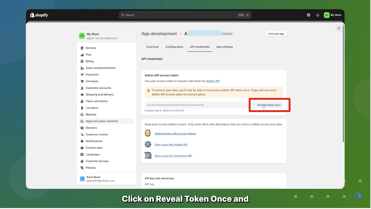 API Key Visible