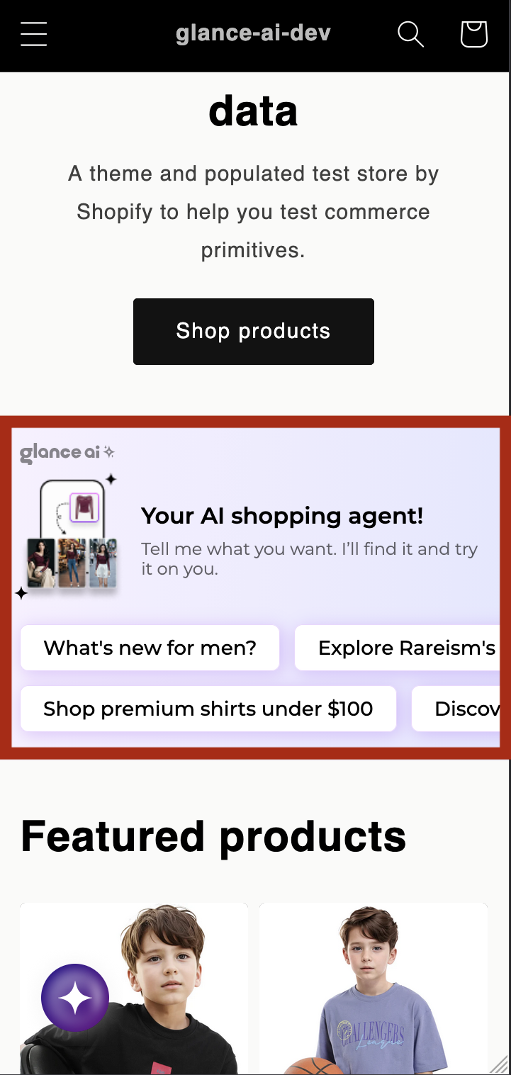 Chat Widget